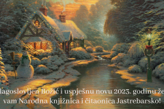 176733-boz